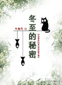 冬至的秘密封面