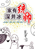 《家有统帅，深井冰》封面