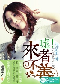 《嘘！来者不善》封面