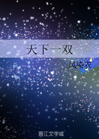 《天下一双》封面