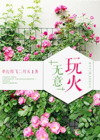 《无意玩火》封面