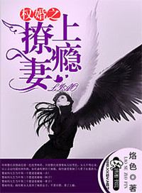 《权婚之撩妻上瘾》封面