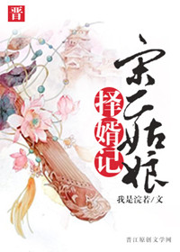 宋二姑娘择婿记封面