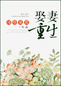 《娶妻重生》封面