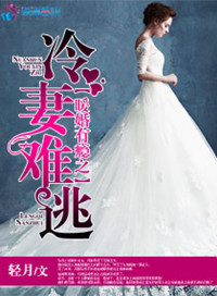 《暖婚有瘾之冷妻难逃》封面