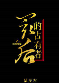 《最后的占有者》封面