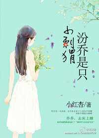 《汾乔是只小刺猬》封面