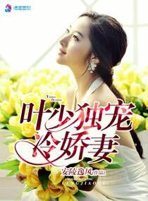 《叶少独宠冷娇妻》封面