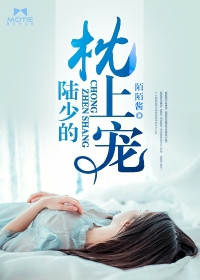 《陆少的枕上宠》封面