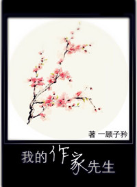 《我的作家先生》封面