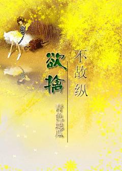 《欲擒不故纵》封面