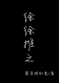 《徐徐推之》封面