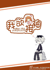 《我欲接袖》封面