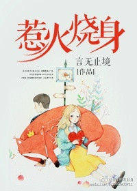 《惹火烧身》封面