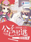 《报告皇上之公子已出逃》封面