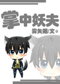 《掌中妖夫》封面