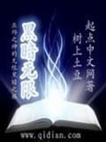 《黑暗无限》封面