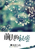 《前夫的秘密》封面