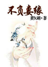 《不负妻缘》封面