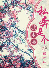 《私奔是个技术活》封面