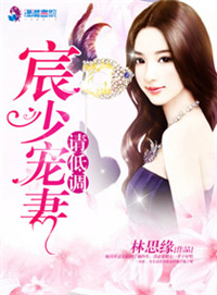 《宸少宠妻请低调》封面