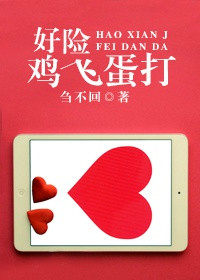 《好险鸡飞蛋打》封面