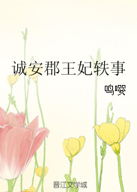 《诚安郡王妃轶事》封面