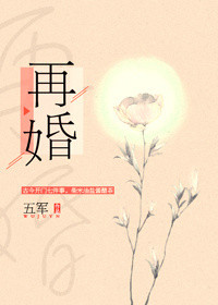 《再婚（耽美）》封面