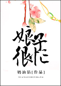 《娘子很忙》封面