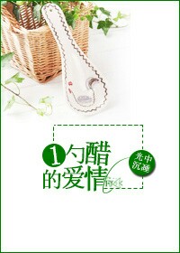 《一勺醋的爱情》封面