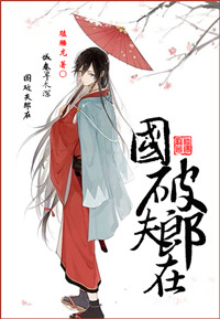 《国破夫郎在》封面