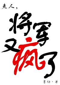 《夫人，将军又疯了》封面