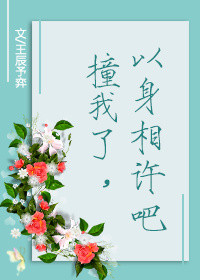 《撞我了，以身相许吧》封面