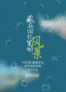 《藏在回忆里的风景》封面