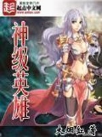 《网游神级英雄》封面