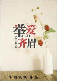 《举爱齐眉》封面