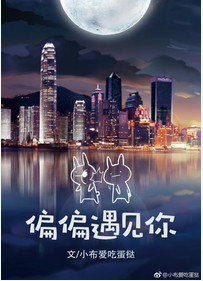 《偏偏遇见你》封面