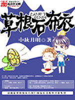 《草根石布衣》封面