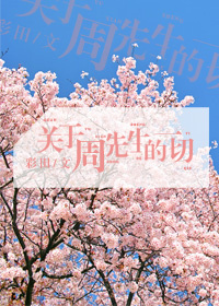 《关于周先生的一切》封面