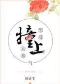 《当男尊撞上女尊》封面