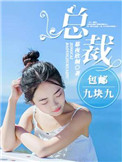 《总裁包邮九块九》封面