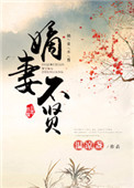 《嫡妻不贤》封面