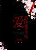 《爱意收集系统》封面