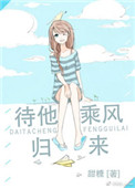 《待他乘风归来》封面