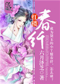 《红楼春纤》封面