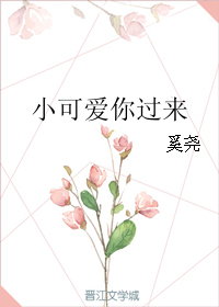 《小可爱你过来》封面