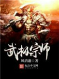 《武极宗师》封面