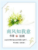 《南风知我意》封面