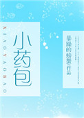 《小药包》封面