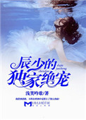 《辰少的独家绝宠》封面